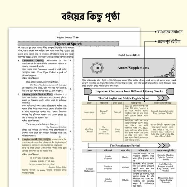 ENglish-Essence-Website-Image-4 Live MCQ English Essence